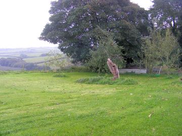 Grassy field