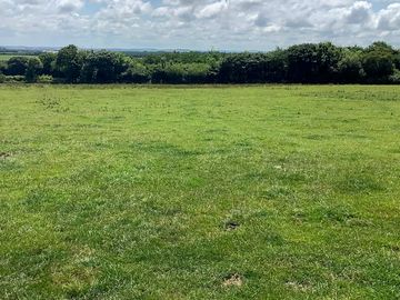 Grassy pitches at ossington farm camping (added by manager 23 jun 2023)