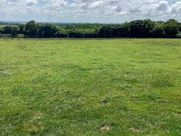 Grassy pitches at ossington farm camping
