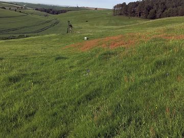 Camping field