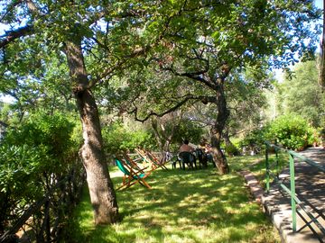 Shaded spots on site