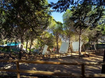 Tipis amid the trees (added by manager 12 jan 2024)