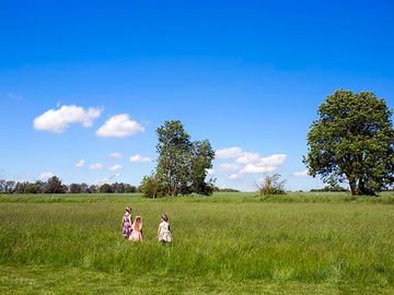 Meadow view (added by manager 07 jan 2022)