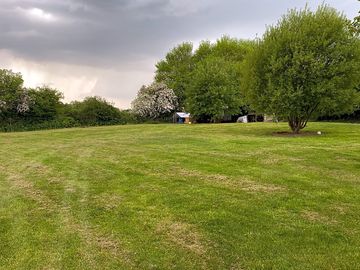 Well-maintained field surrounded by greenery