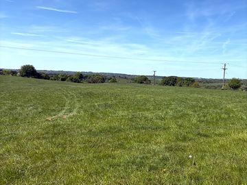 Grass pitches