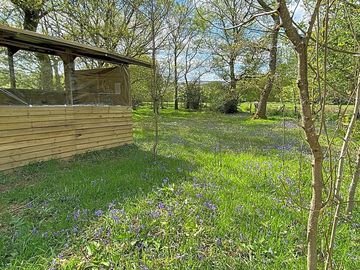 Blue bella pitch and covered kitchen