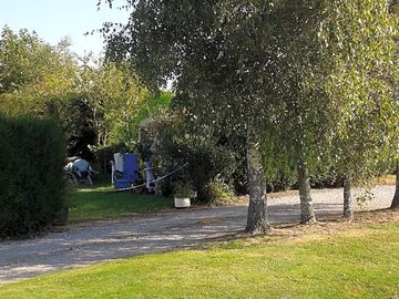 Tree-lined site