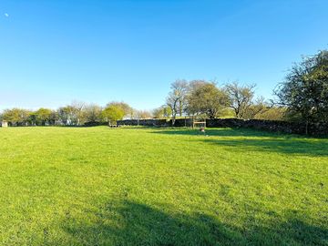 Wall field