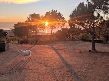 The site at sunset