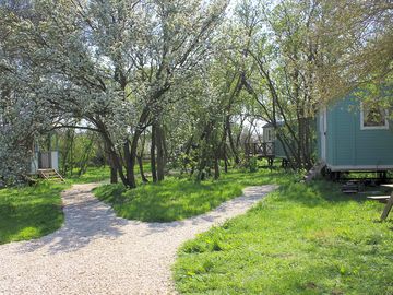 The shepherd huts under the orchard blossom (added by manager 20 apr 2023)