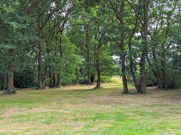 Sheltered glade