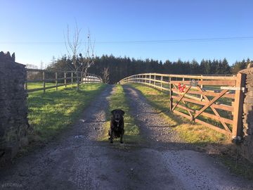 Tor cefn entrance