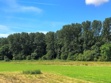 Peaceful and sheltered countryside setting