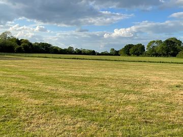 Grass pitches (added by manager 22 may 2022)