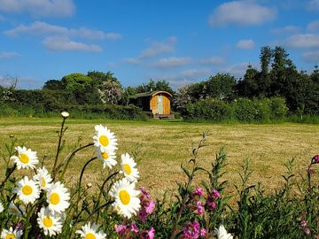 Wildflowers overlooking our shepherds huts. (added by manager 09 jun 2023)