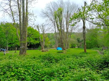 Seven acres camping 05/05/22 (added by visitor 07 may 2022)