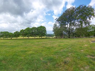 The paddock