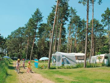 Trees all around the pitches for shade (added by manager 14 dec 2018)