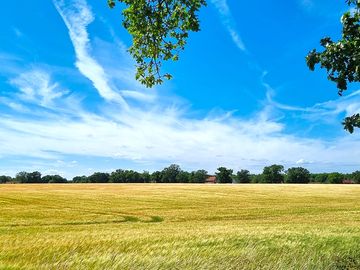 Field view from campsite