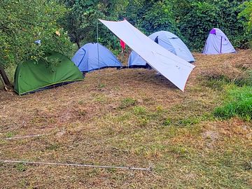 Grass pitch surrounded by greenery