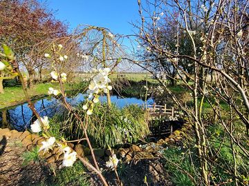 Pond paddock