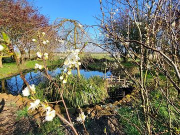 Pond paddock (added by manager 13 apr 2023)