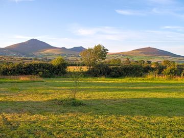The bottom field