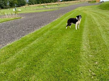 One of the local residents