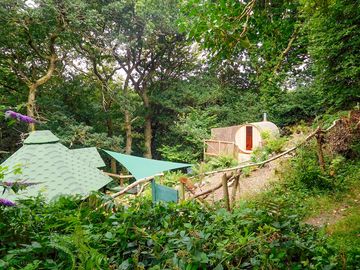 Cabins in the woods