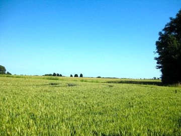 Looking south towards the farm and climping beach