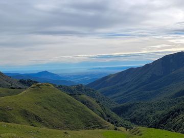 Panorama