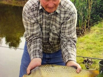 Common carp from our coarse pool (added by manager 01 mar 2016)