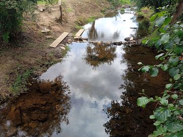 Stream