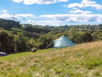 Semi-wild surrounds