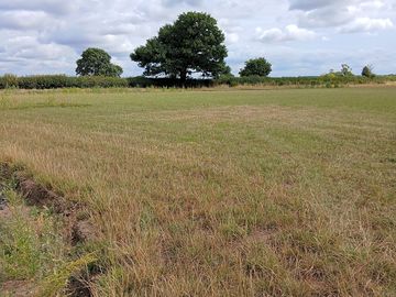 Camping field