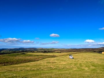 Bertie sat amongst the beautiful north wales countryside!