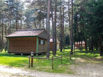 Lodges in the pine forest (added by manager 13 feb 2024)