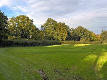 Theses are the pitches, nicely spaced.