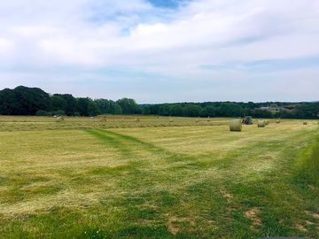 A view from the farm entrance down towards the camping area on the far side (added by manager 25 may 2023)