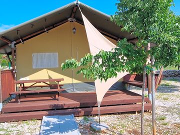 Safari tent