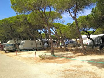 Camping area