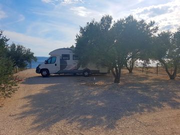 Trees around for shade