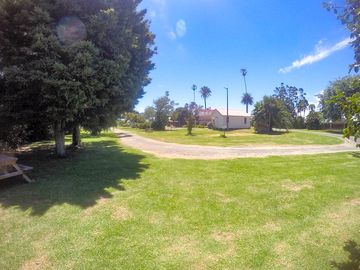 Grass sites around the park