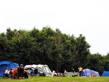 Grass pitches