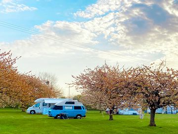 Camping field