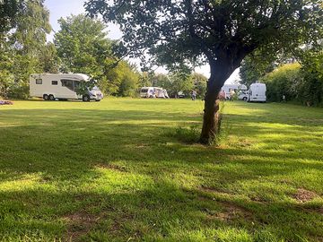 Spacious pitches in the orchard
