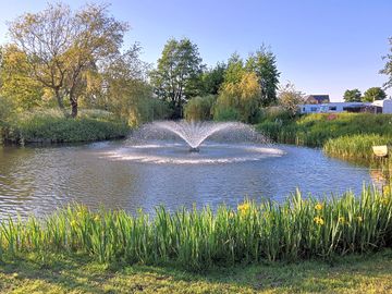 A great view of the water fountain from either the bar or a waterside pitch.