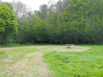 Spacious pitch