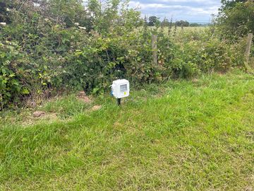 Pitch by the hedge