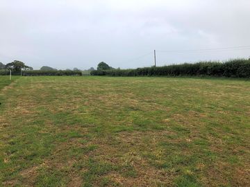 The pitching field